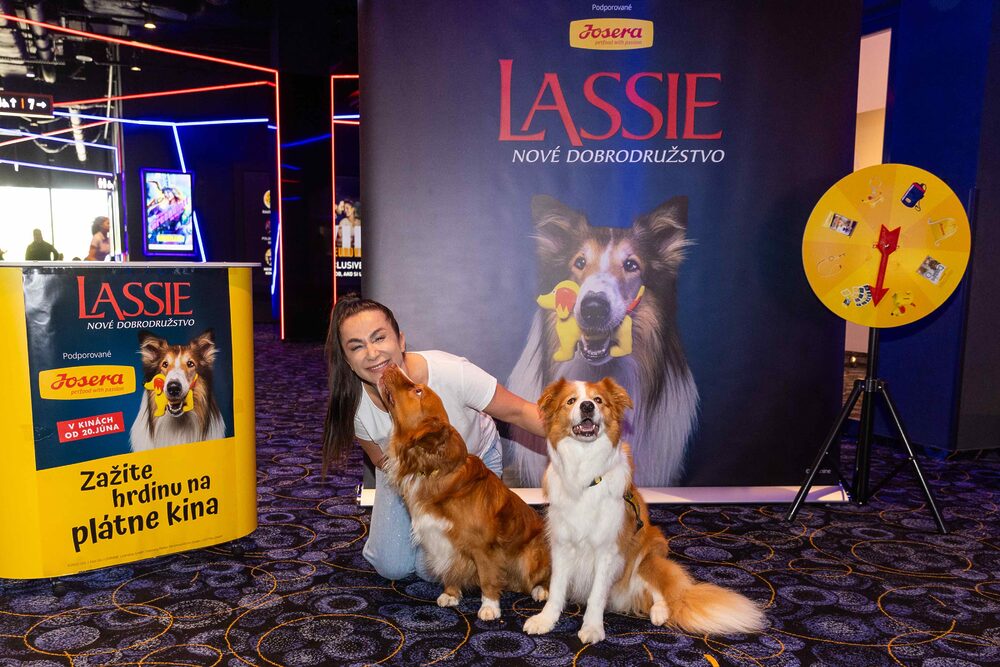 Legendárna Lassie sa vracia a podáva pomocnú labku psíkom, ktorí to potrebujú