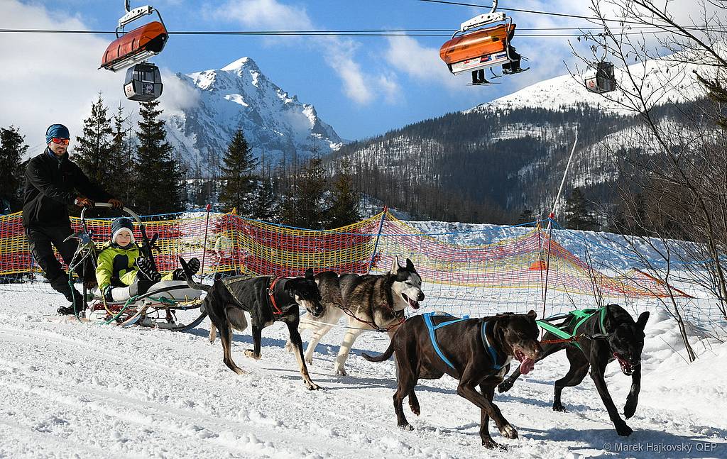 Tatranská Lomnica bude patriť Snežným psom, Skalnaté Pleso obrovským snehuliakom