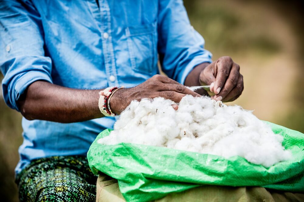 Sortiment spoločnosti Tchibo využíva výlučne udržateľnú bavlnu. Kľúčom k bio bavlne je podpora farmárov počas transformácie